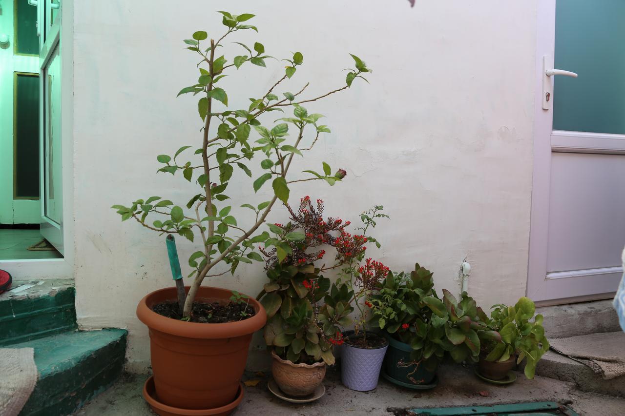 Guest House Nise Τυφλίδα Εξωτερικό φωτογραφία